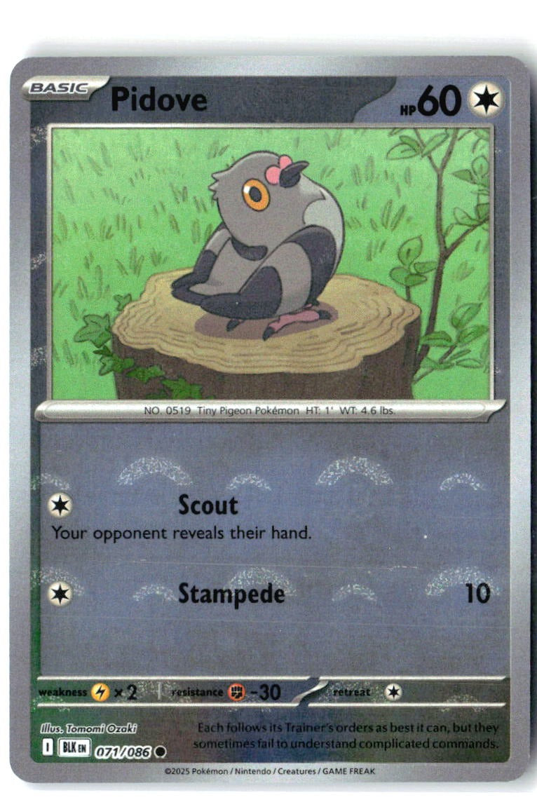 Pidove (Poke Ball Pattern) 071/086 Holo Common Black Bolt Pokemon Near Mint